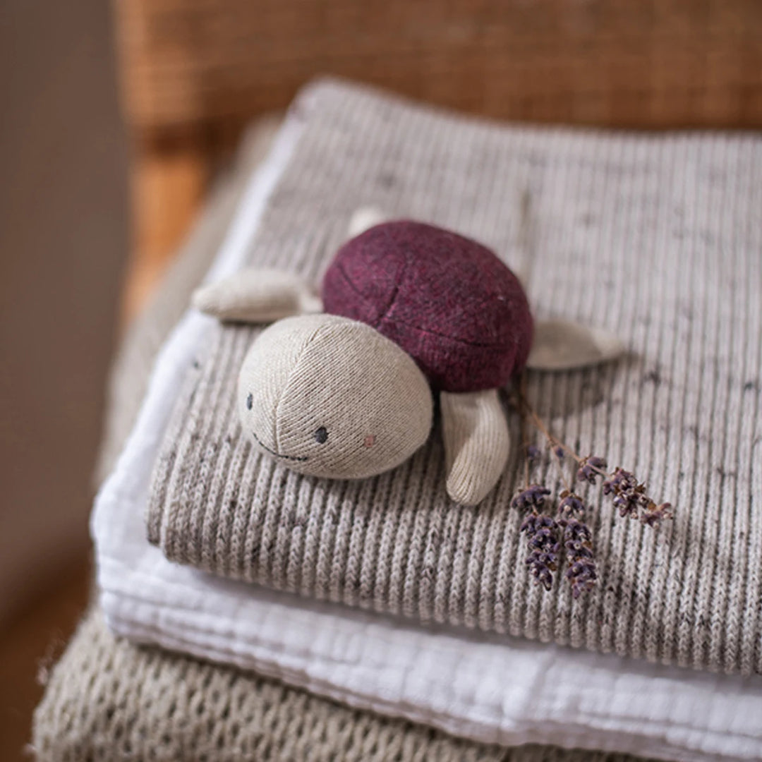 Ava &amp; Yves Babyrassel Schildkröte aubergine lila 7203