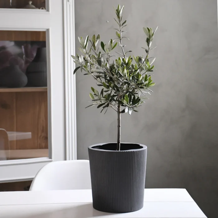 Storefactory Übertopf Eksberg Dark Grey anthrazit