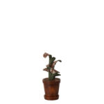 Maileg Blumentopf mit Pflanze - Miniatur 2025