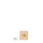 Räder Mini Lotusblüte Glückskästchen Good Vibes 0017940